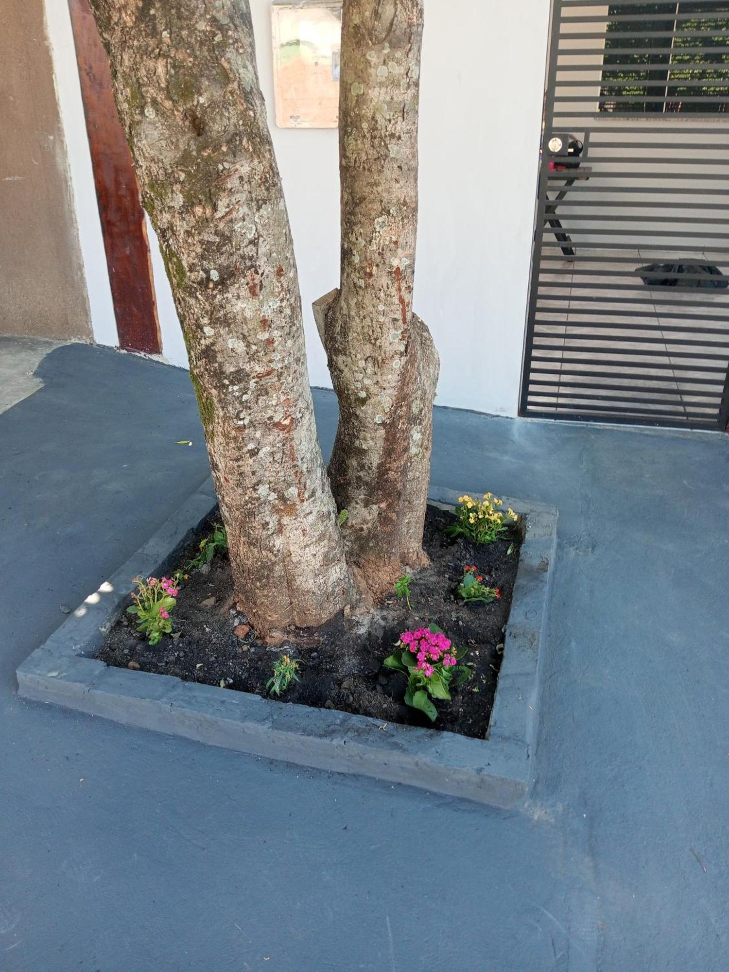 Casa Luna Da Boa Vista Bonito  Exteriör bild